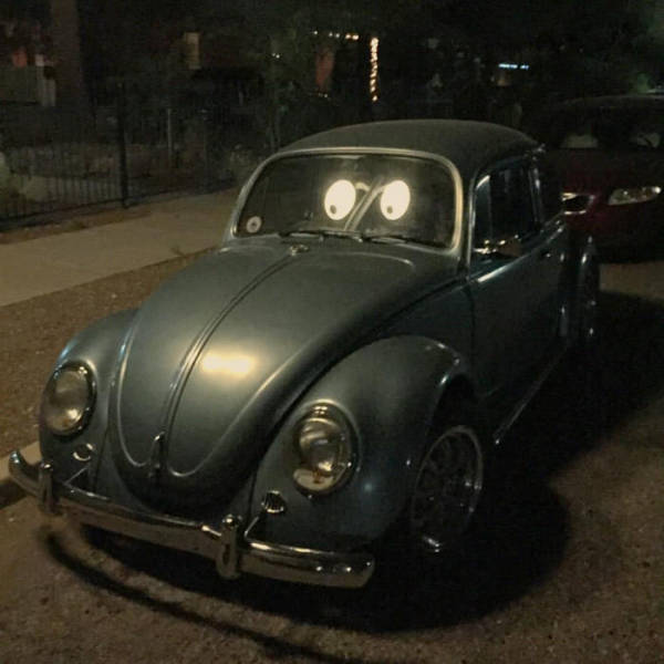 Daily Pictures. Part 2 (80 pics)