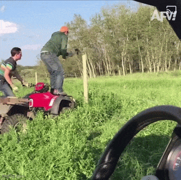 Acid GIFs, August 6 (25 gifs)