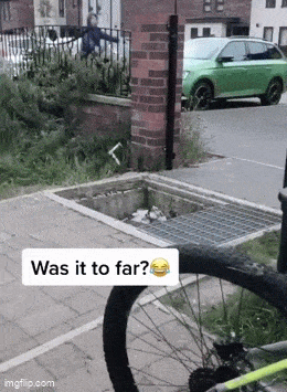 Acid GIFs, August 6 (25 gifs)
