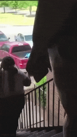 Acid GIFs, August 6 (25 gifs)