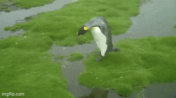 Acid GIFs, August 6 (25 gifs)