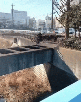 Acid GIFs, August 6 (25 gifs)
