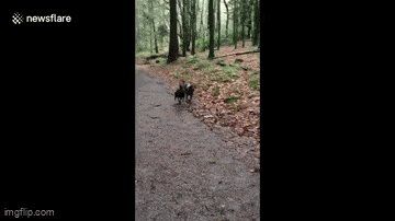 Acid GIFs, August 6 (25 gifs)