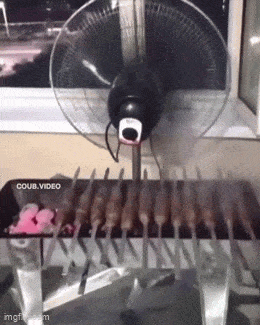 Acid GIFs, August 6 (25 gifs)