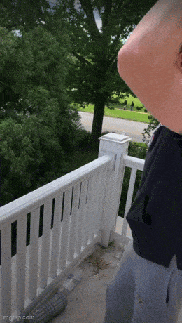 Acid GIFs, August 6 (25 gifs)