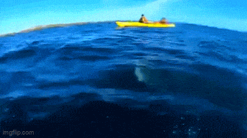 Acid GIFs, August 6 (25 gifs)