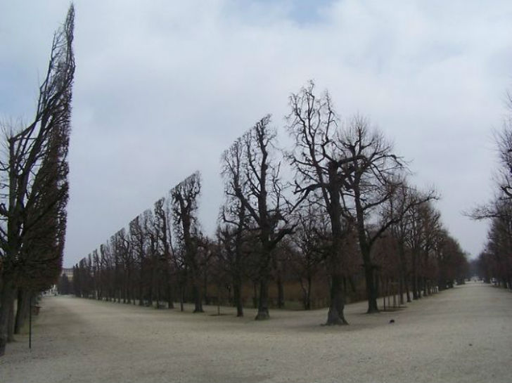 Photos For Perfectionists (25 pics) Photos For Perfectionists (25 pics)