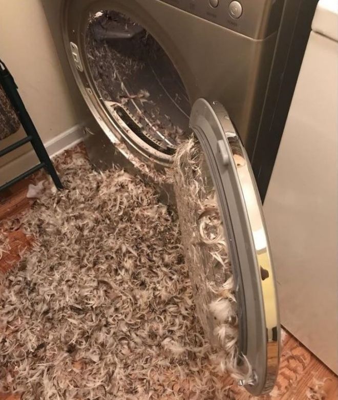Unfortunate Situations (21 pics)