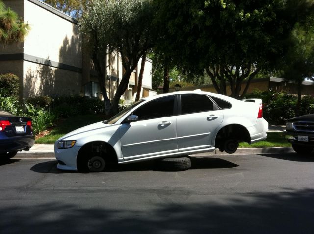 No luck (21 pics)