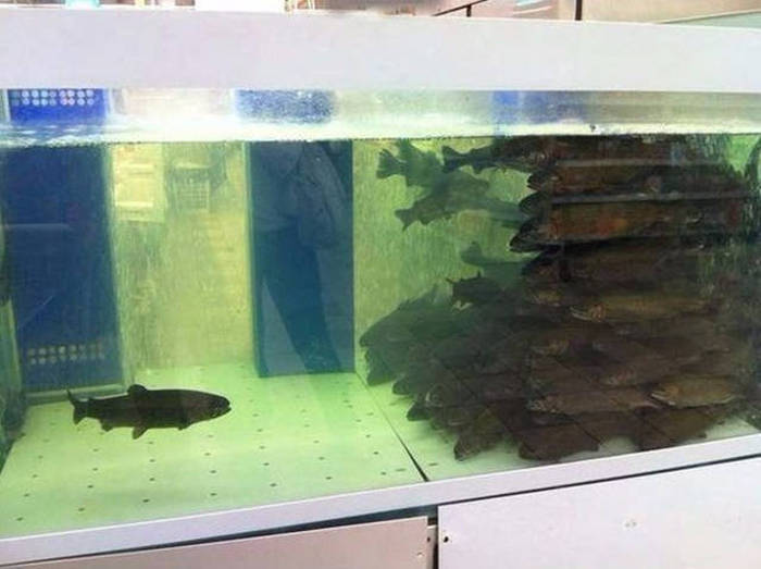 Bad Days Happen (21 pics) Bad Days Happen (21 pics)