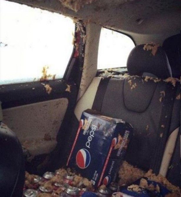 It's Annoying (19 pics)