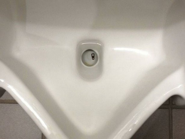 It's Annoying (19 pics)