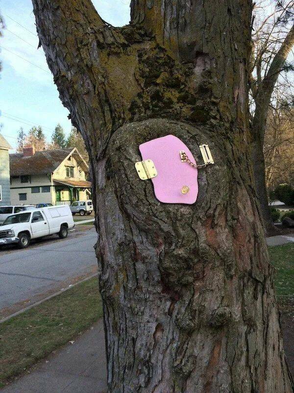 Daily Pictures. Part 1 (76 pics)
