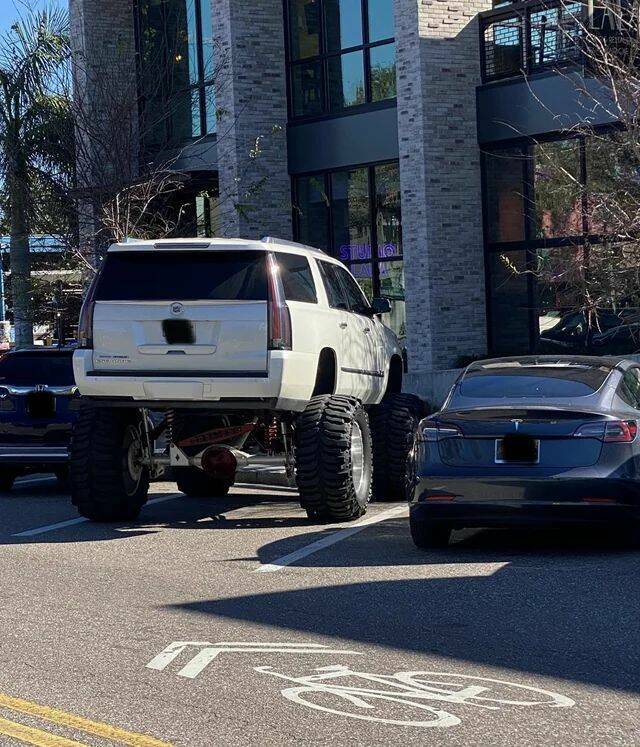 Daily Pictures. Part 1 (76 pics)