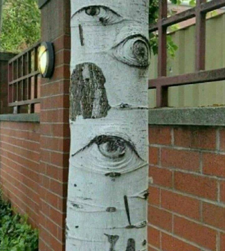 Daily Pictures. Part 1 (76 pics)