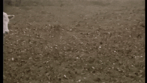 Acid GIFs, August 7 (25 gifs) Acid GIFs, August 7 (25 gifs)