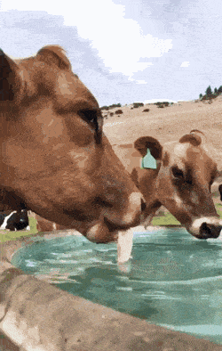 Acid GIFs, August 7 (25 gifs) Acid GIFs, August 7 (25 gifs)