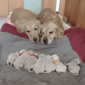 Acid GIFs, August 7 (25 gifs) Acid GIFs, August 7 (25 gifs)