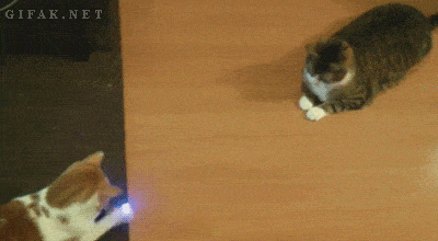 Acid GIFs, August 7 (25 gifs) Acid GIFs, August 7 (25 gifs)