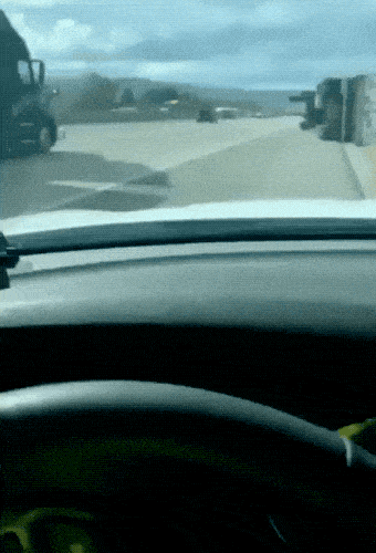 Acid GIFs, August 7 (25 gifs) Acid GIFs, August 7 (25 gifs)