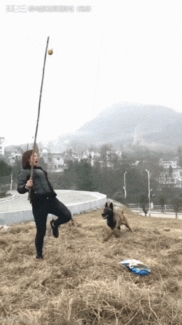 Acid GIFs, August 7 (25 gifs) Acid GIFs, August 7 (25 gifs)