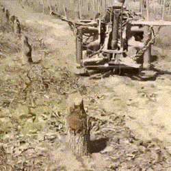 Acid GIFs, August 7 (25 gifs) Acid GIFs, August 7 (25 gifs)