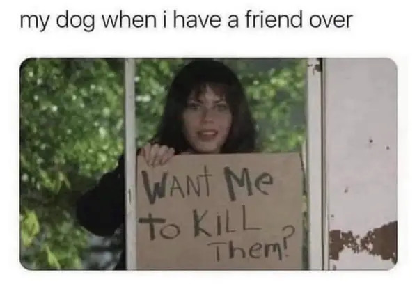 Funny Memes (23 pics) Funny Memes (23 pics)