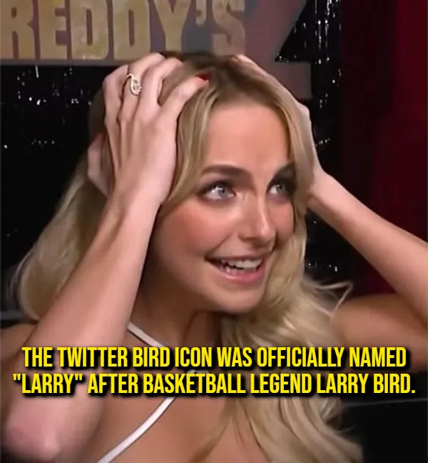 Interesting Facts (17 pics)