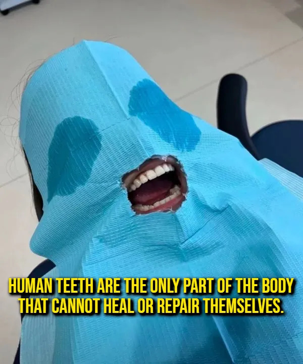 Interesting Facts (17 pics)
