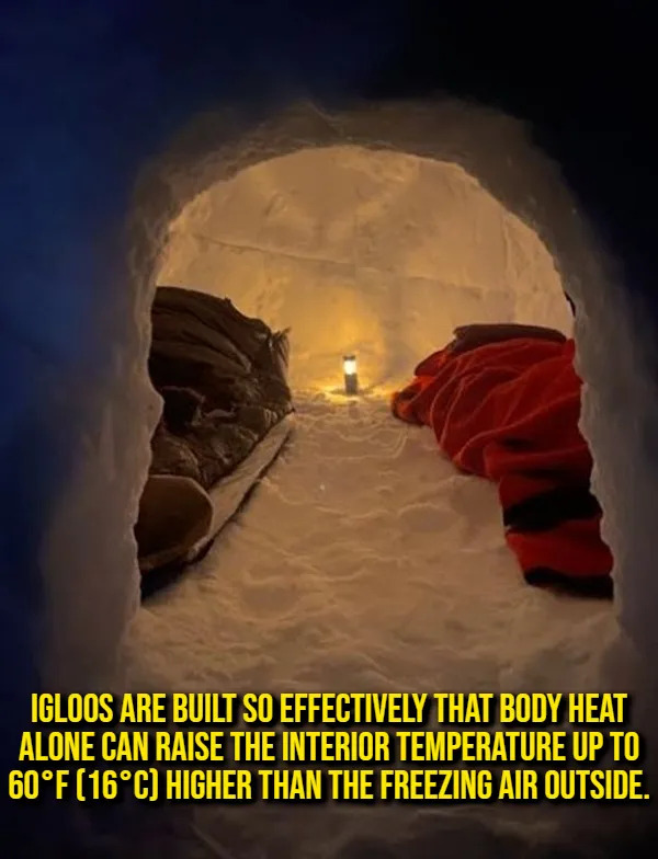 Interesting Facts (17 pics)