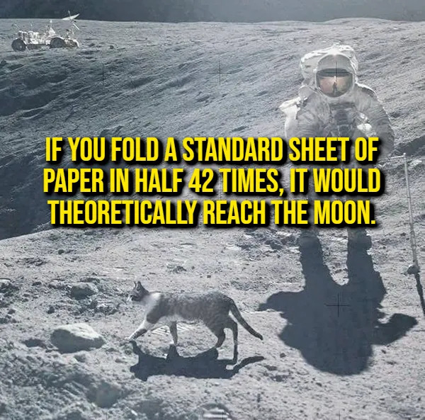 Interesting Facts (17 pics)