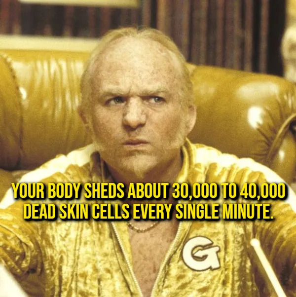 Interesting Facts (17 pics)