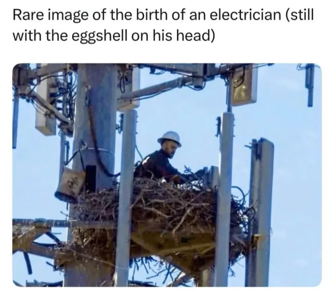 Random Memes (25 pics)
