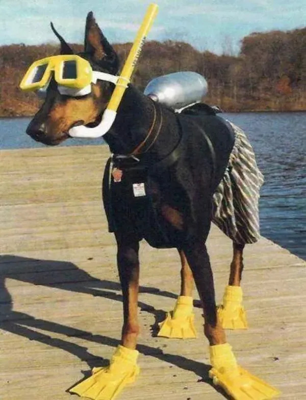 What Is Going On Here? (27 pics)