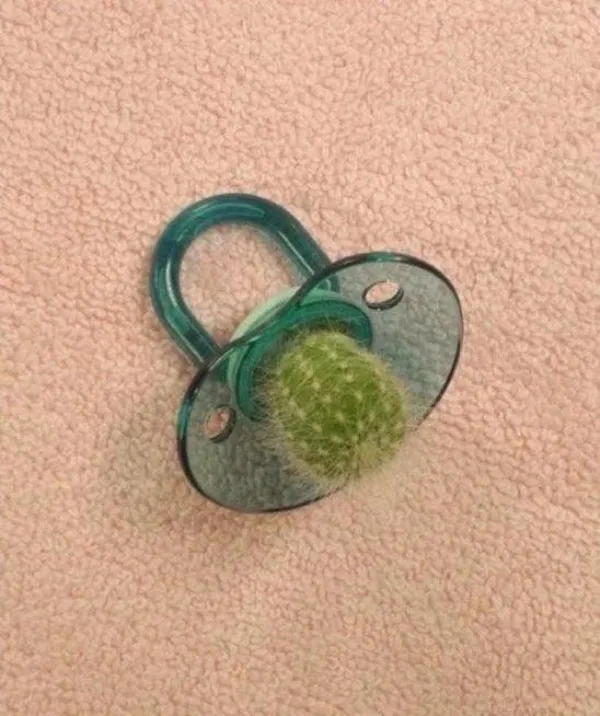 What Is Going On Here? (27 pics)