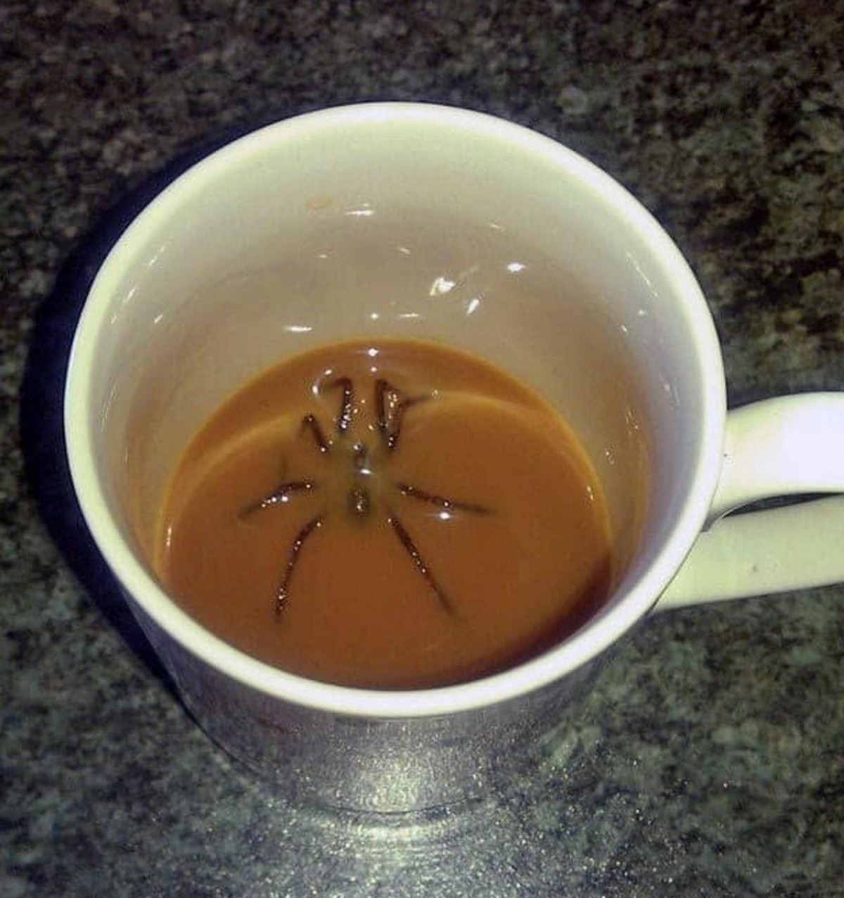 Bad Days Happen (25 pics)