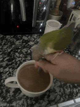 Acid GIFs, August 10 (25 gifs) Acid GIFs, August 10 (25 gifs)