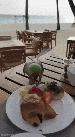 Acid GIFs, August 10 (25 gifs) Acid GIFs, August 10 (25 gifs)