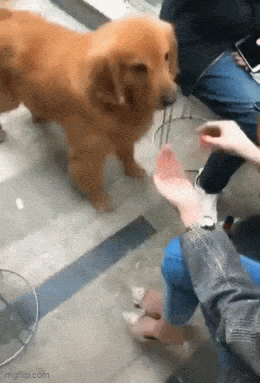 Acid GIFs, August 10 (25 gifs) Acid GIFs, August 10 (25 gifs)
