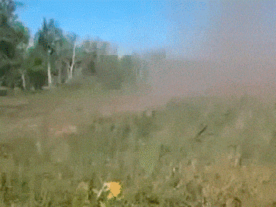 Acid GIFs, August 10 (25 gifs) Acid GIFs, August 10 (25 gifs)