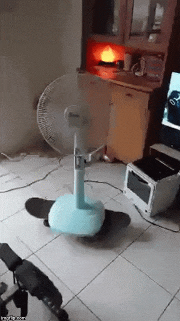 Acid GIFs, August 10 (25 gifs) Acid GIFs, August 10 (25 gifs)