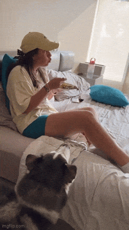 Acid GIFs, August 10 (25 gifs) Acid GIFs, August 10 (25 gifs)