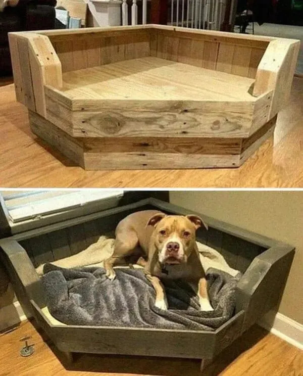 Amazing Woodworking (25 pics)