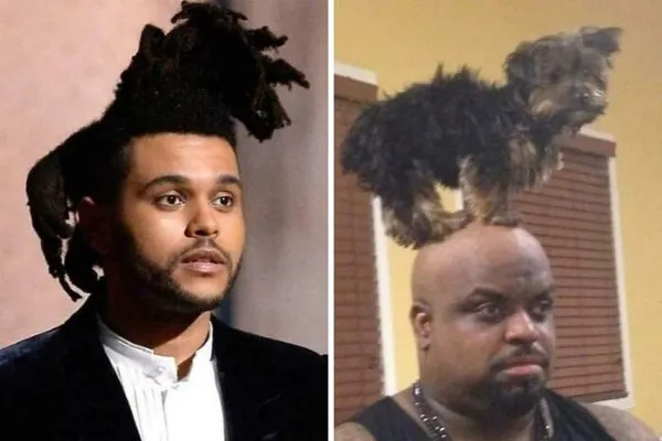 Awful Haircuts (27 pics) Awful Haircuts (27 pics)