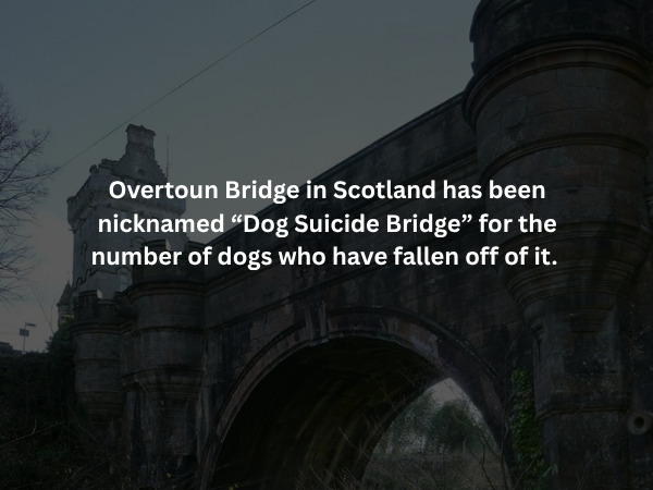Creepy Facts (14 pics) Creepy Facts (14 pics)