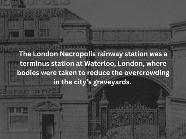 Creepy Facts (14 pics) Creepy Facts (14 pics)