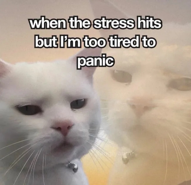 Funny Memes (21 pics)