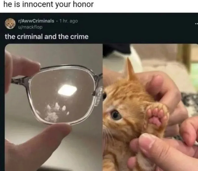 Funny Memes (21 pics)
