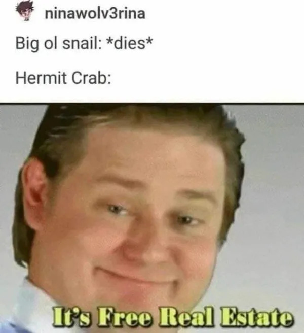 Random Memes (23 pics)
