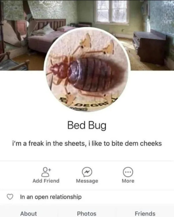 Random Memes (23 pics)